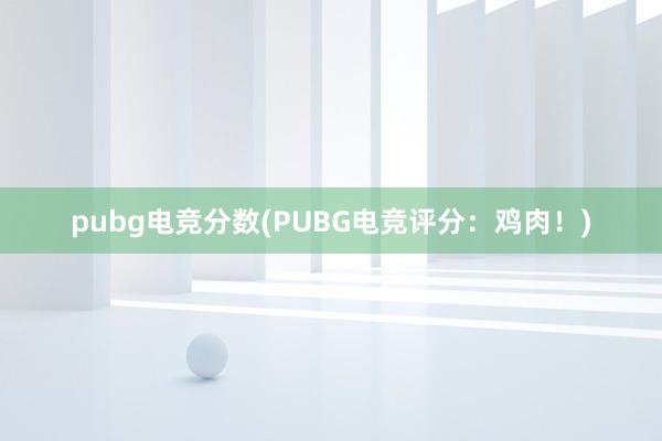 pubg电竞分数(PUBG电竞评分：鸡肉！)