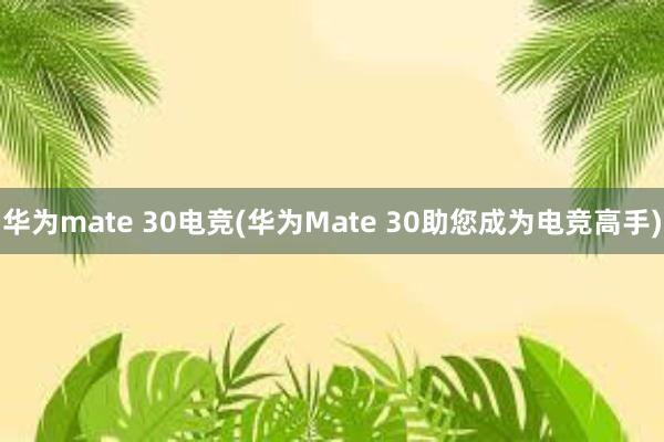 华为mate 30电竞(华为Mate 30助您成为电竞高手)