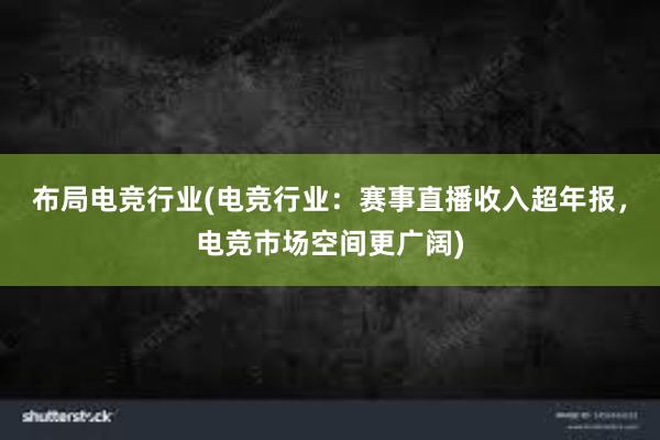 布局电竞行业(电竞行业：赛事直播收入超年报，电竞市场空间更广阔)