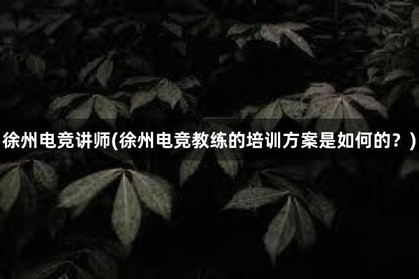 徐州电竞讲师(徐州电竞教练的培训方案是如何的？)