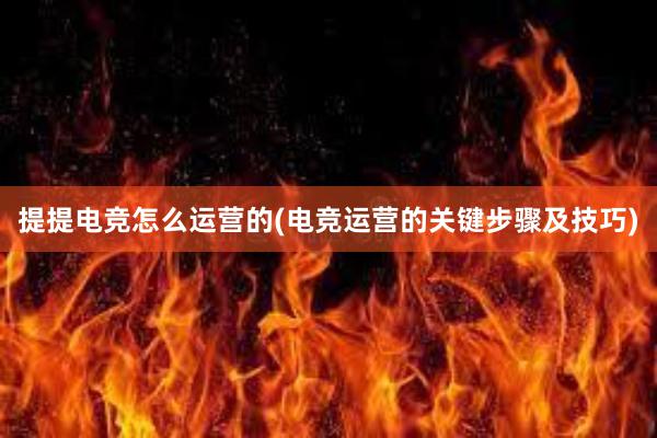 提提电竞怎么运营的(电竞运营的关键步骤及技巧)