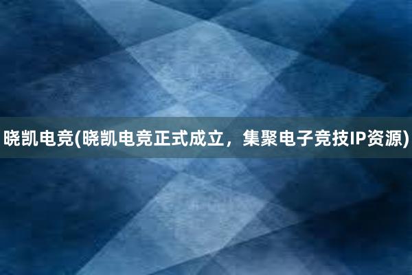 晓凯电竞(晓凯电竞正式成立，集聚电子竞技IP资源)