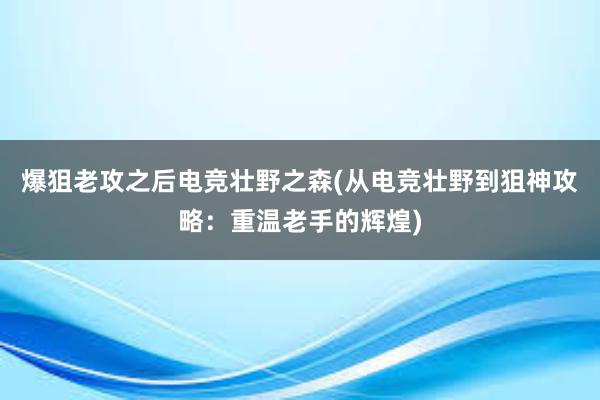 爆狙老攻之后电竞壮野之森(从电竞壮野到狙神攻略：重温老手的辉煌)