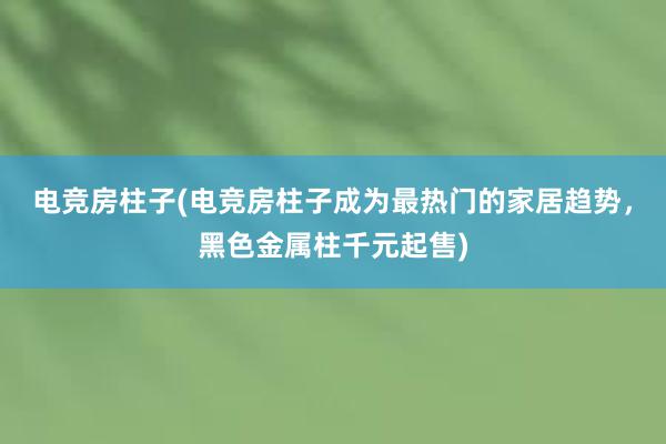 电竞房柱子(电竞房柱子成为最热门的家居趋势，黑色金属柱千元起售)