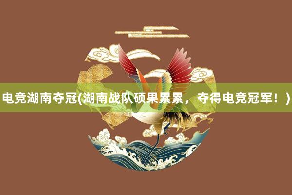 电竞湖南夺冠(湖南战队硕果累累，夺得电竞冠军！)