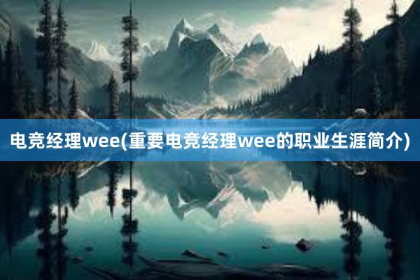 电竞经理wee(重要电竞经理wee的职业生涯简介)