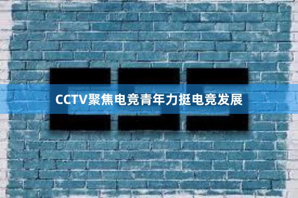 CCTV聚焦电竞青年力挺电竞发展