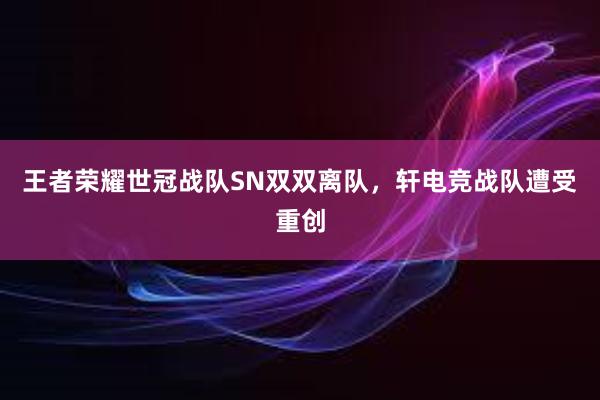 王者荣耀世冠战队SN双双离队，轩电竞战队遭受重创