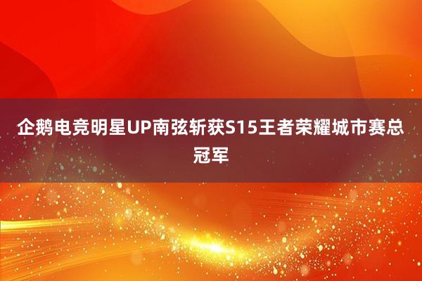 企鹅电竞明星UP南弦斩获S15王者荣耀城市赛总冠军