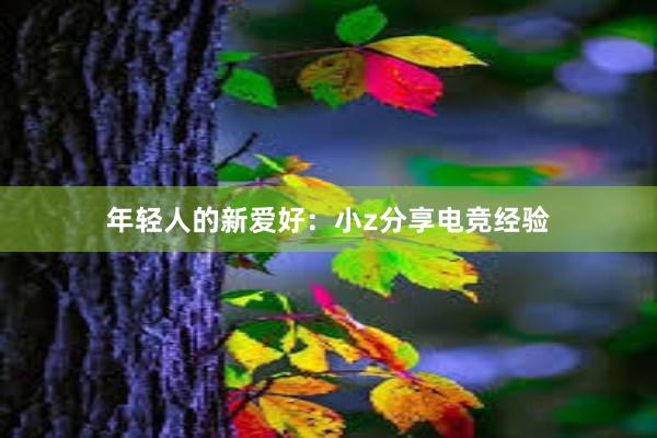 年轻人的新爱好：小z分享电竞经验