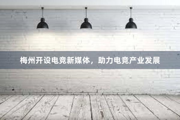 梅州开设电竞新媒体，助力电竞产业发展