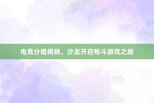 电竞分组揭晓，沙龙开启格斗游戏之旅