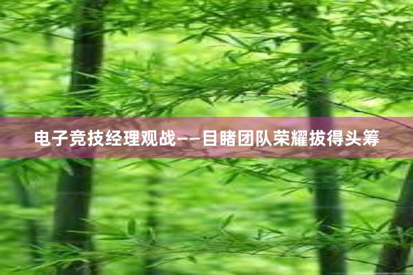 电子竞技经理观战——目睹团队荣耀拔得头筹