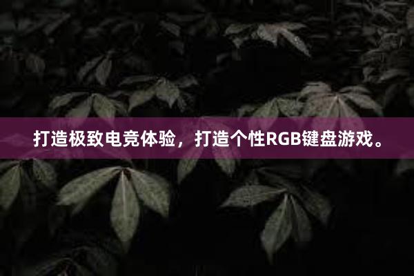 打造极致电竞体验，打造个性RGB键盘游戏。