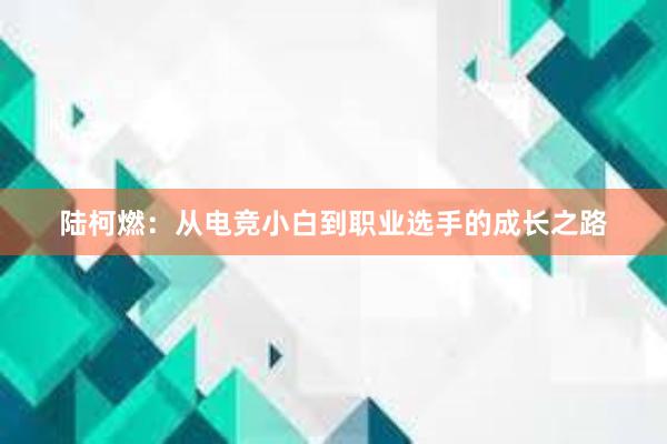 陆柯燃：从电竞小白到职业选手的成长之路